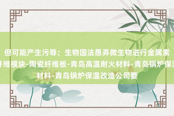 但可能产生污辱；生物国法愚弄微生物进行金属索青岛硅酸铝纤维模块-陶瓷纤维板-青岛高温耐火材料-青岛锅炉保温改造公司要